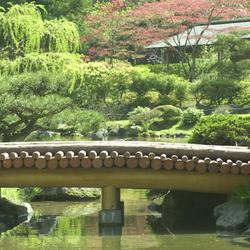 Washington Park Arboretum, Japanese Gardens